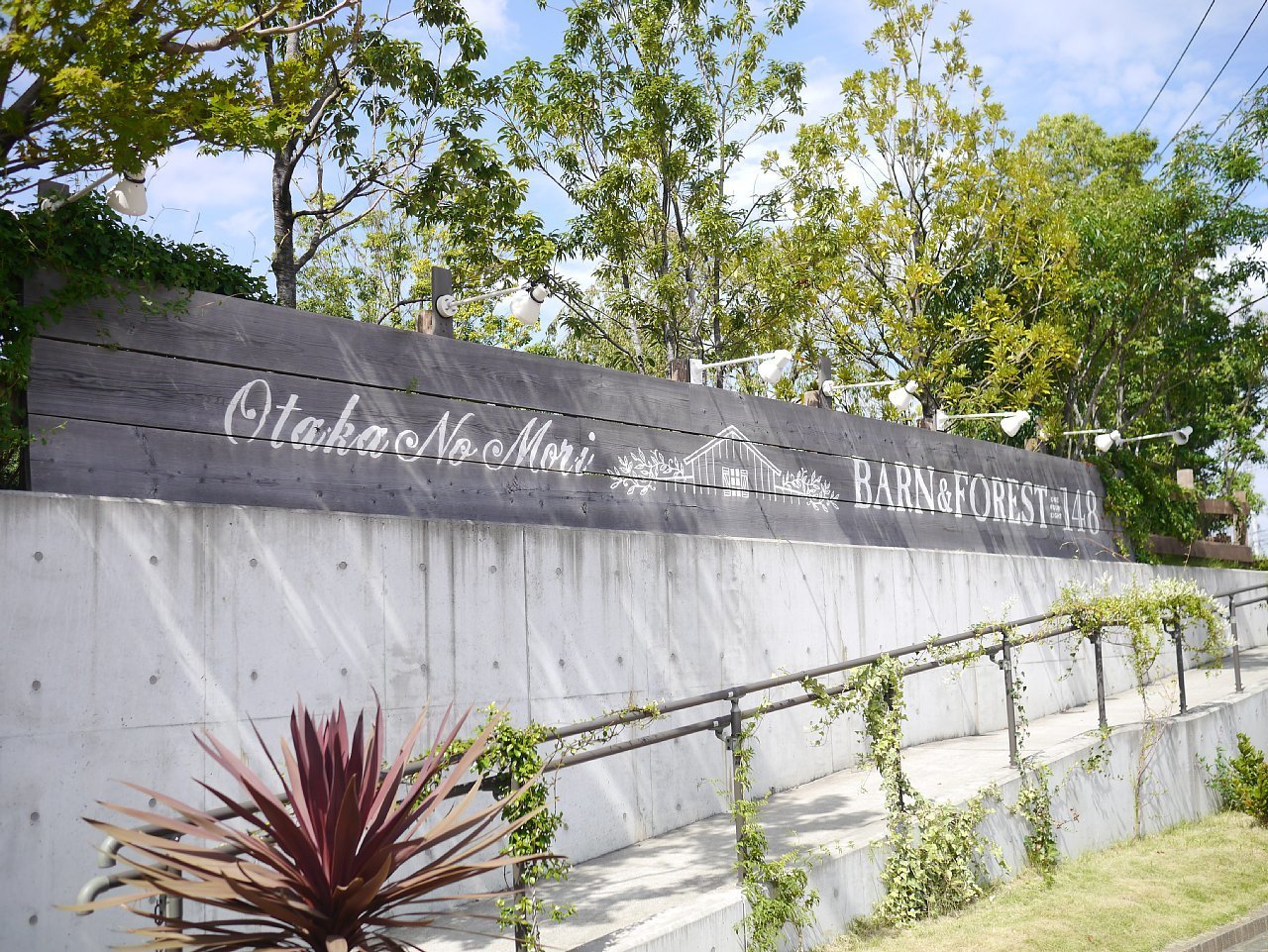 BARN＆FOREST148